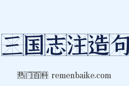 三国志注造句是什么意思的图片